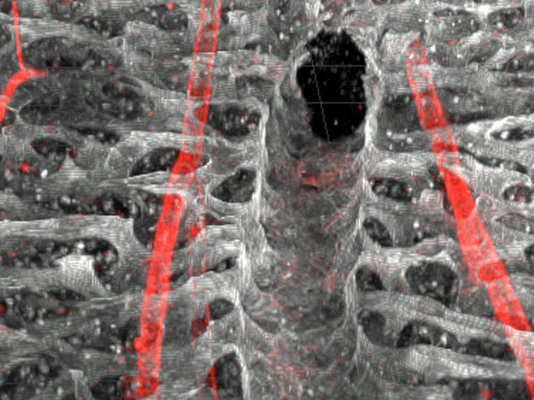 Picture 3D-reconstruction: UZH