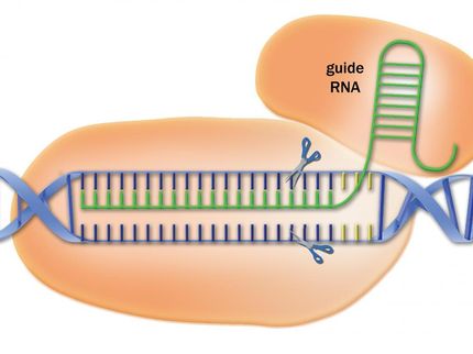 Library of CRISPR targeting sequences increases power of the gene-editing method