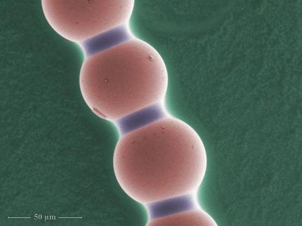 Semiliquid chains pulled out of a sea of microparticles