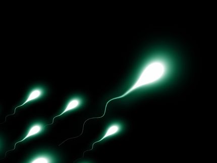 Steckt die moderne Welt in einer «Spermienkrise»?