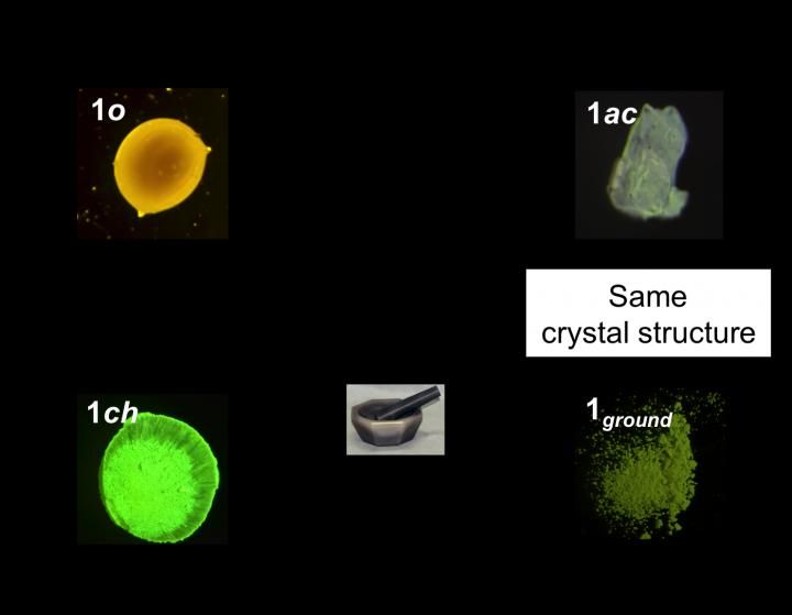 Jin M. et al., Journal of the American Chemical Society, May 23, 2017