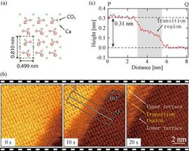 High-speed FM-AFM and simulation reveal atomistic dissolution processes of calcite in water