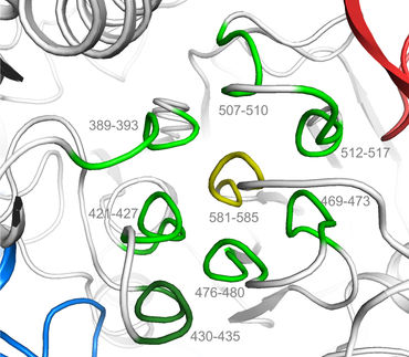 Mikrobiologen identifizieren neue Proteinstruktur