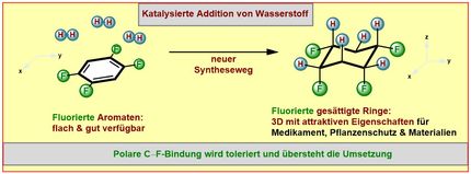 Durchbruch: Neues Verfahren zur Synthese von fluorierten Molekülringen