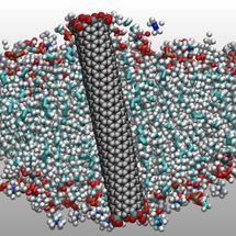 Nanotubos para superar la capacidad de filtración de agua de la naturaleza