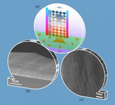 Perovskite solar cells go single crystal
