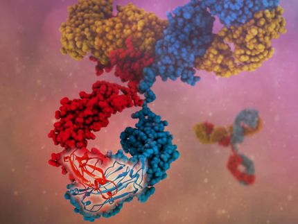 Expanding the reach of therapeutic antibodies