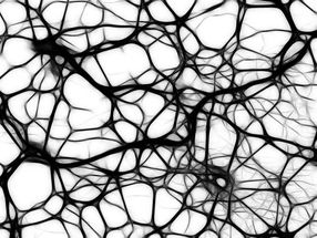 'Oleadas' de actividad neuronal dan nuevas pistas sobre el alzhéimer