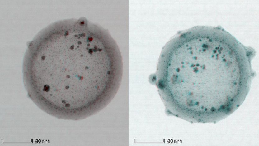 Cécile Hébert/Emad Oveisi/EPFL