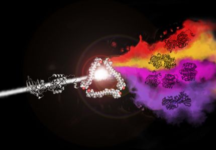 The carotenoid transfer between 2 proteins