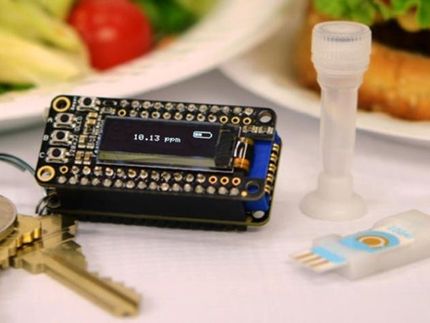 Keychain detector could catch food allergens before it's too late