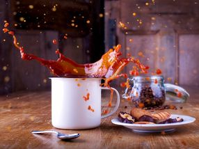Von großen Ohren und verschüttetem Kaffee: Die schrillen Ig-Nobelpreise sind längst Kult