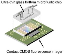 Fluorescence microscopy on a chip -- no lenses required