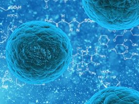 „Sprache der Stammzellen“ entdeckt