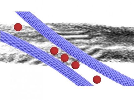 Assembly of nanoparticles proceeds like a zipper