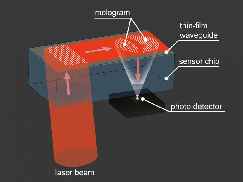 Gatterdam et al. Nature Nanotechnology 2017