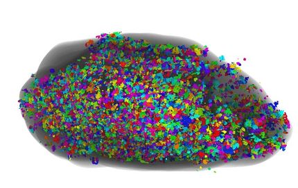 Parkinson's disease involves degeneration of the olfactory system