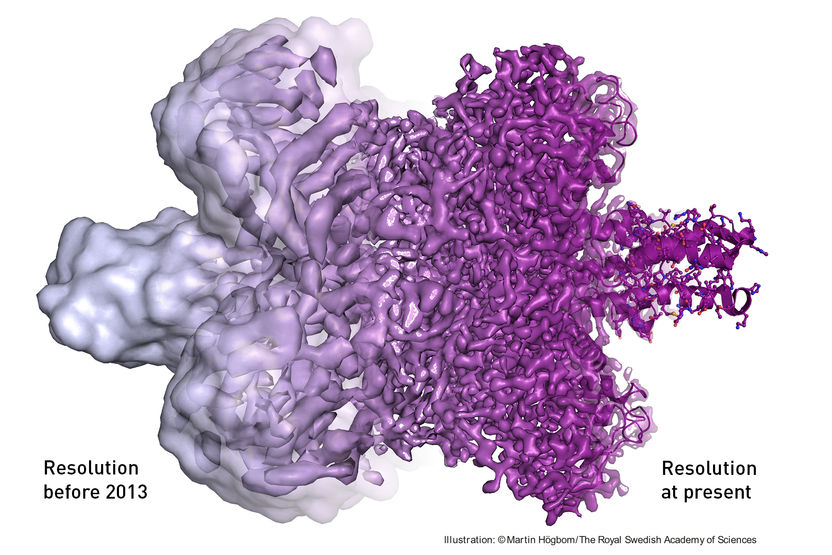 Cool microscope technology revolutionises biochemistry