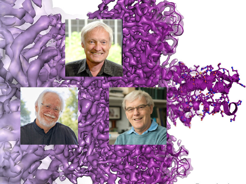 Jacques Dubochet: EMBL; Joachim Frank: Columbia University; Richard Henderson: MRC; Background: © Martin Högbom/The Royal Swedish Academy of Sciences