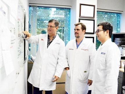 New research on sperm stem cells has implications for male infertility and cancer