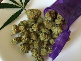 Zwischen Euphorie und Vorsicht: Medizin-Cannabis auf dem Vormarsch