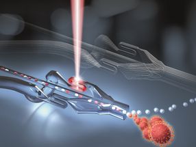 Schnelle individualisierte Therapiewahl durch Sortierung von Biomolekülen und Zellen mit Licht
