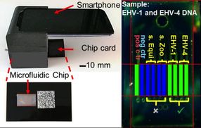 Integrated lab-on-a-chip uses smartphone to quickly detect multiple pathogens
