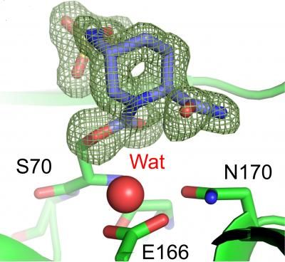 Calvopina et al 2017