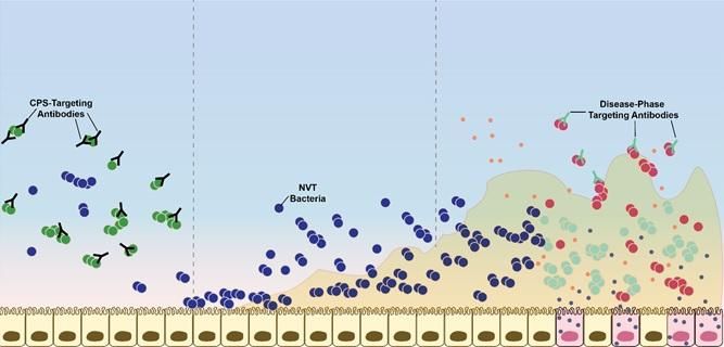 Jones et al., Sci. Adv. 2017;3: e1701797.