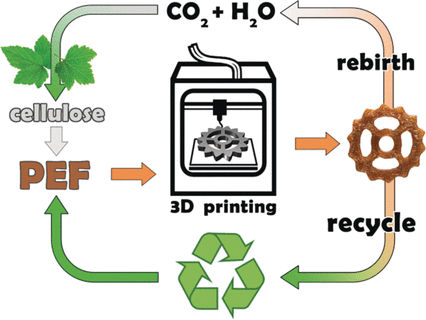 From Cellulose to 3D Objects