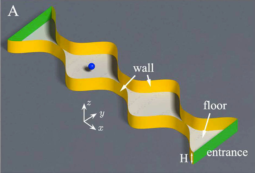 © Universität Augsburg (IfP)/PNAS