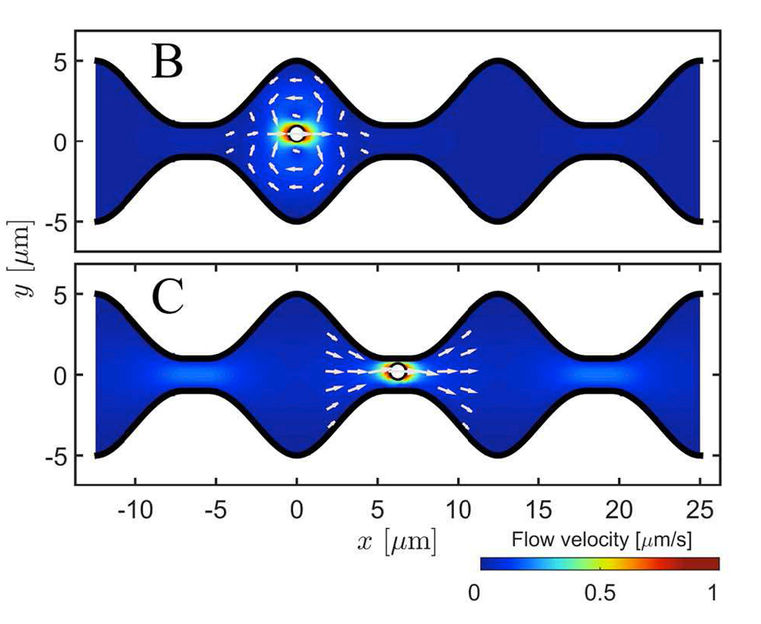 © Universität Augsburg (IfP)/PNAS