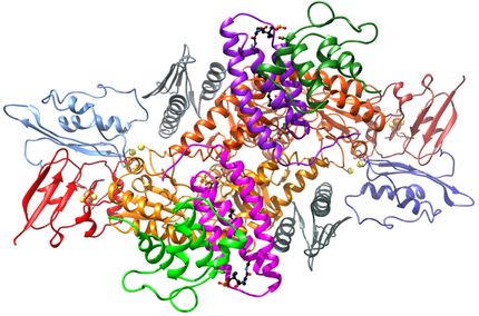 Kristallografie klärt Herstellung von Eisen-Schwefel-Clustern