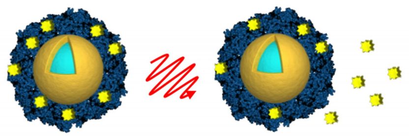 Nanoshells could deliver more chemo with fewer side effects