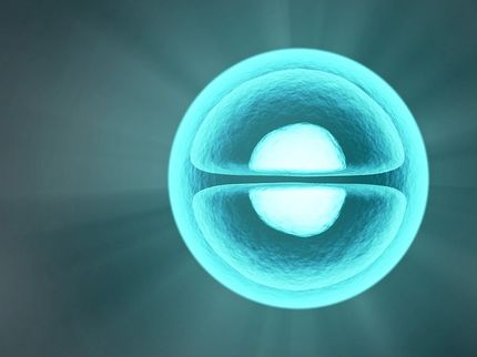 A lipid’s role in cell division