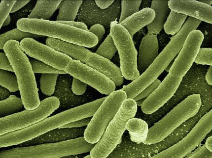 EU warnt vor dramatischen Gefahren durch resistente Keime