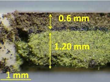 Fujioka M. et al., Journal of the American Chemical Society, November 16, 2017