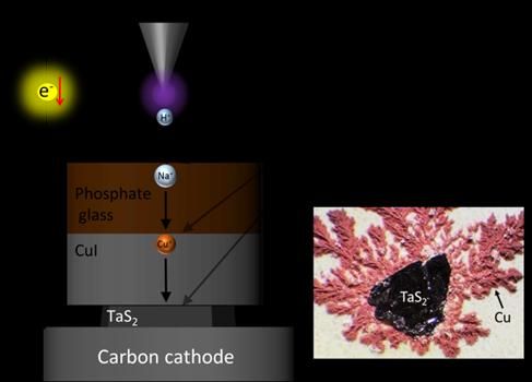 Fujioka M. et al., Journal of the American Chemical Society, November 16, 2017