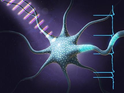 Carefully crafted light pulses control neuron activity
