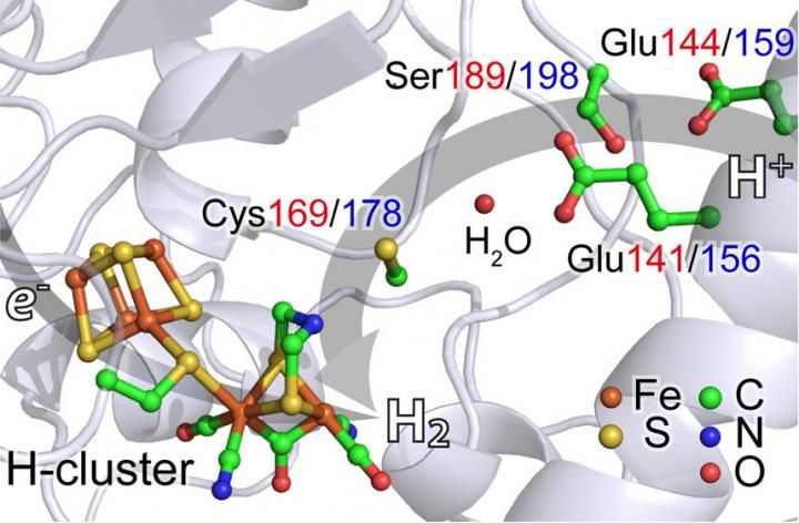 New X-ray spectroscopy explores hydrogen-generating catalyst