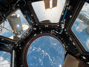 Mikoorganismen auf Raumstation entwickeln sich ähnlich gut wie in Wohnhäusern