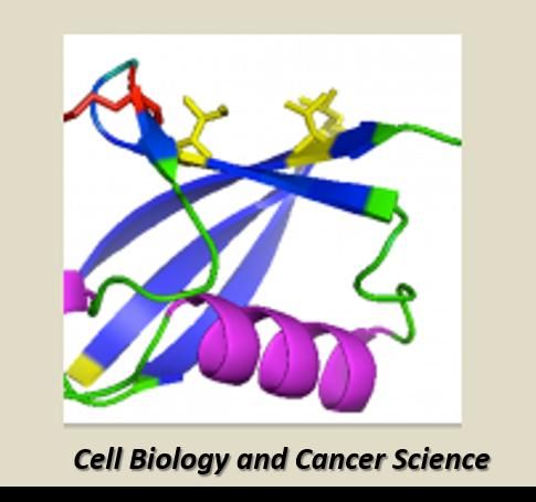 Ronai Lab, Sanford Burnham Prebys Medical Discovery Institute (SBP)