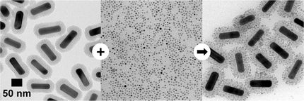 A simpler way to deposit magnetic iron oxide onto gold nanorods