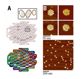 Spaghetti-like, DNA 'noodle origami' the new shape of things to come for nanotechnology