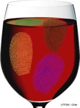 Der chemische Fingerabdruck des Weins