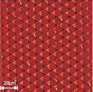 Unerwartet aufgeraeumte Honigwaben