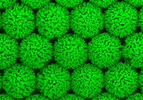 Effizientere Fotozellen dank nanostrukturierter Oberflaechen