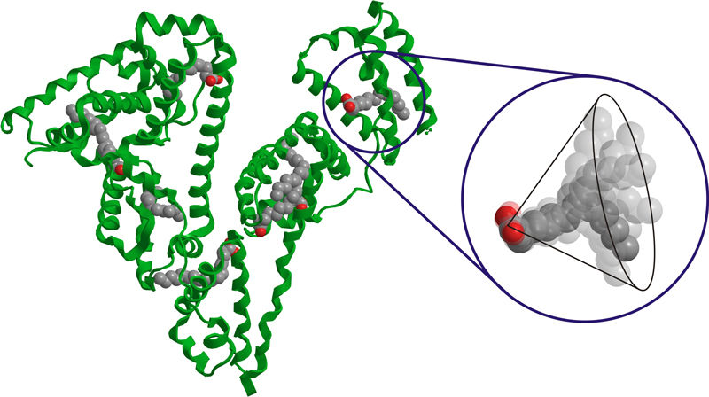 MPI für Polymerforschung