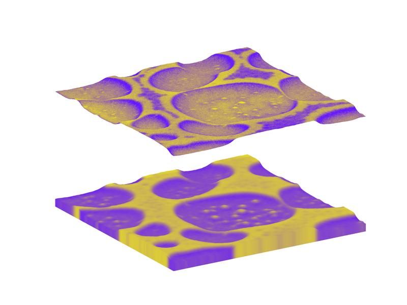 Halbleiter aus Kunststoff besser verstehen - Neue Methode erlaubt aufschlussreiche Einblicke in Polymer-Halbleiter