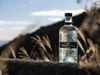 Pernod Ricard schließt sich mit Casa Lumbre und einem renommierten Partner zusammen, um Sotol weltweit bekannt zu machen